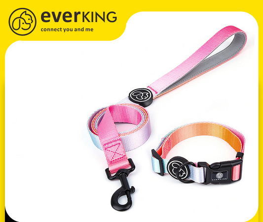 Set de tracción para perros A partir de 12 unidades