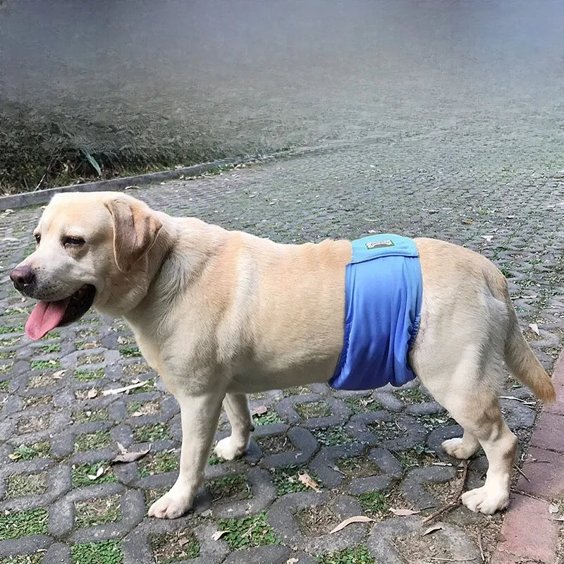 Pantalones antimolestias para perros machos,Ropa interior para perros A partir de 12 unidades