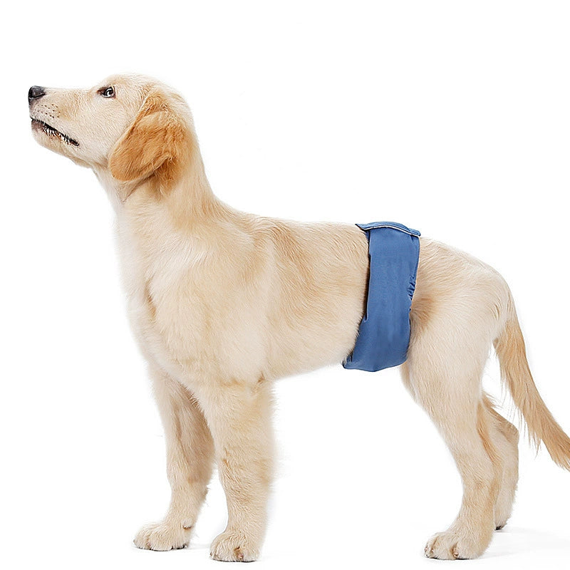 Pantalones antimolestias para perros machos,Ropa interior para perros A partir de 12 unidades