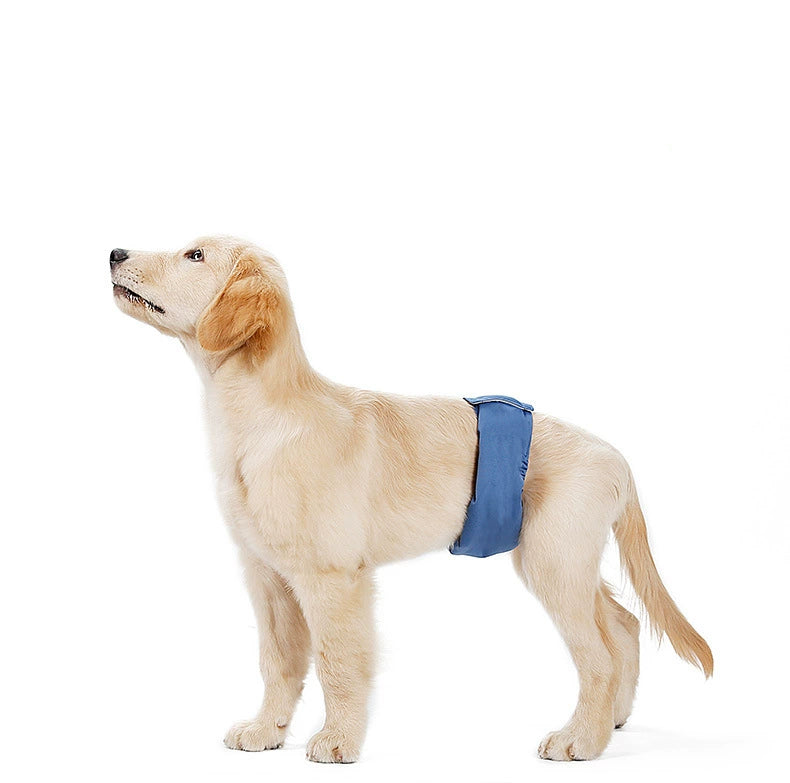 Pantalones antimolestias para perros machos,Ropa interior para perros A partir de 12 unidades