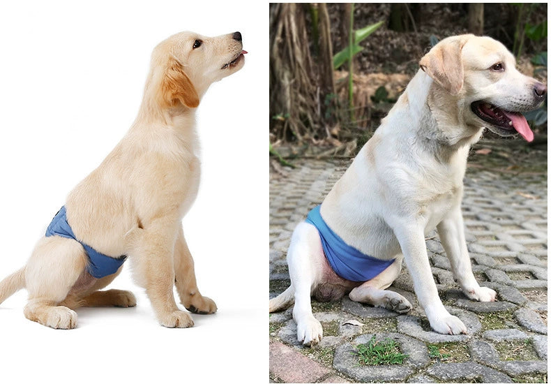 Pantalones antimolestias para perros machos,Ropa interior para perros A partir de 12 unidades