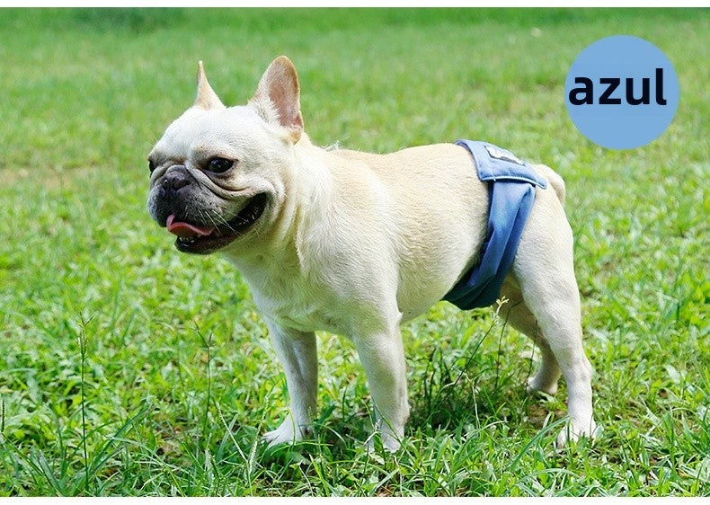 Pantalones antimolestias para perros machos,Ropa interior para perros A partir de 12 unidades