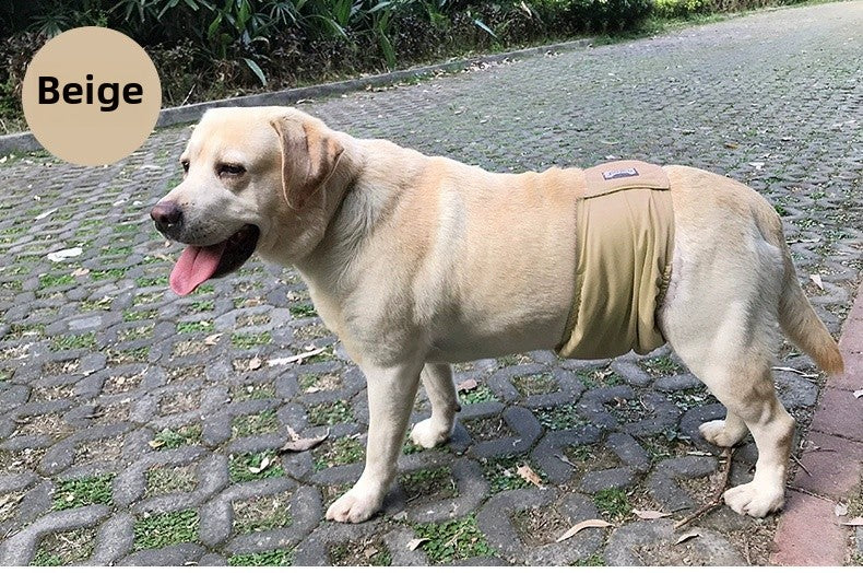 Pantalones antimolestias para perros machos,Ropa interior para perros A partir de 12 unidades
