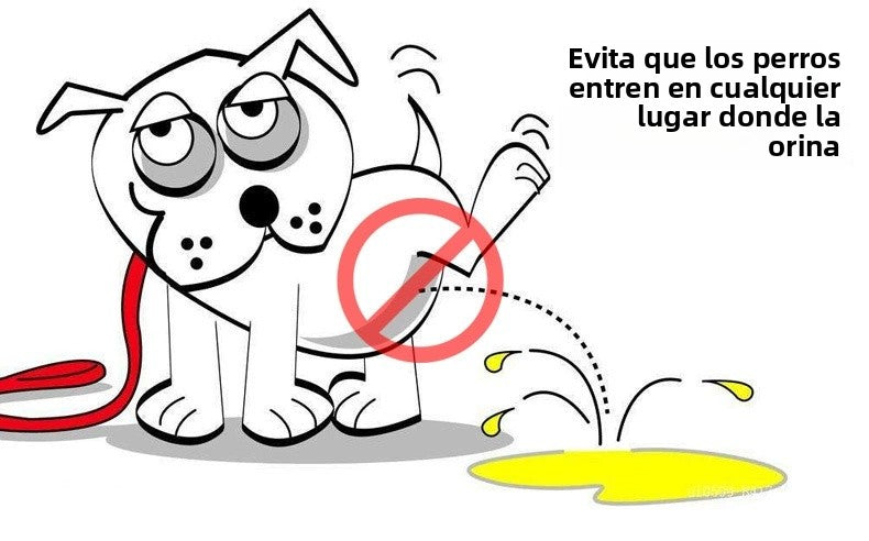 Pantalones antimolestias para perros machos,Ropa interior para perros A partir de 12 unidades