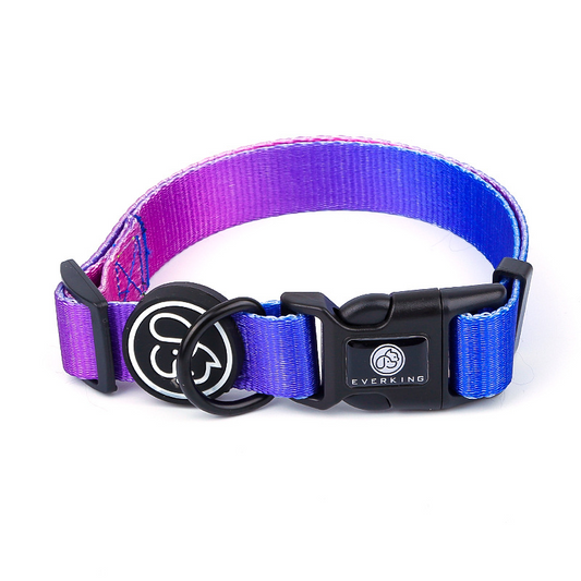 Set de tracción para perros Morado A partir de 12 unidades