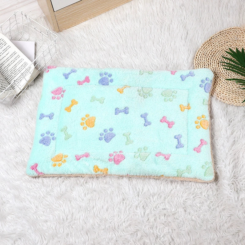 Cojines para mascotas-3 Hueso Azul Brillante A partir de 12 unidades