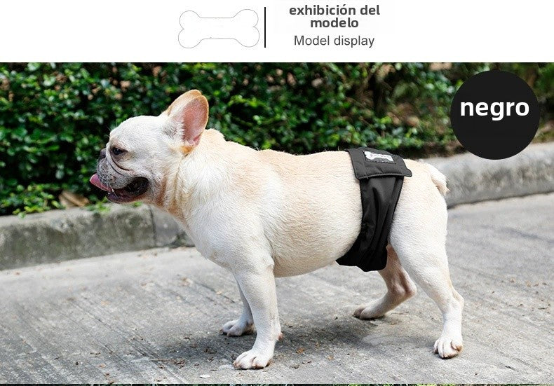 Pantalones antimolestias para perros machos,Ropa interior para perros A partir de 12 unidades