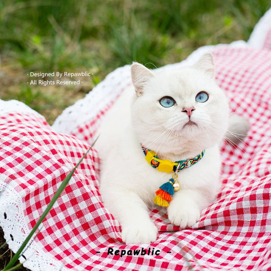 collar para gatos A partir de 12 unidades